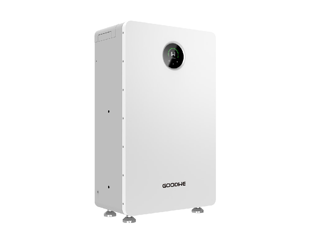 LynxA10-1000-1.jpg