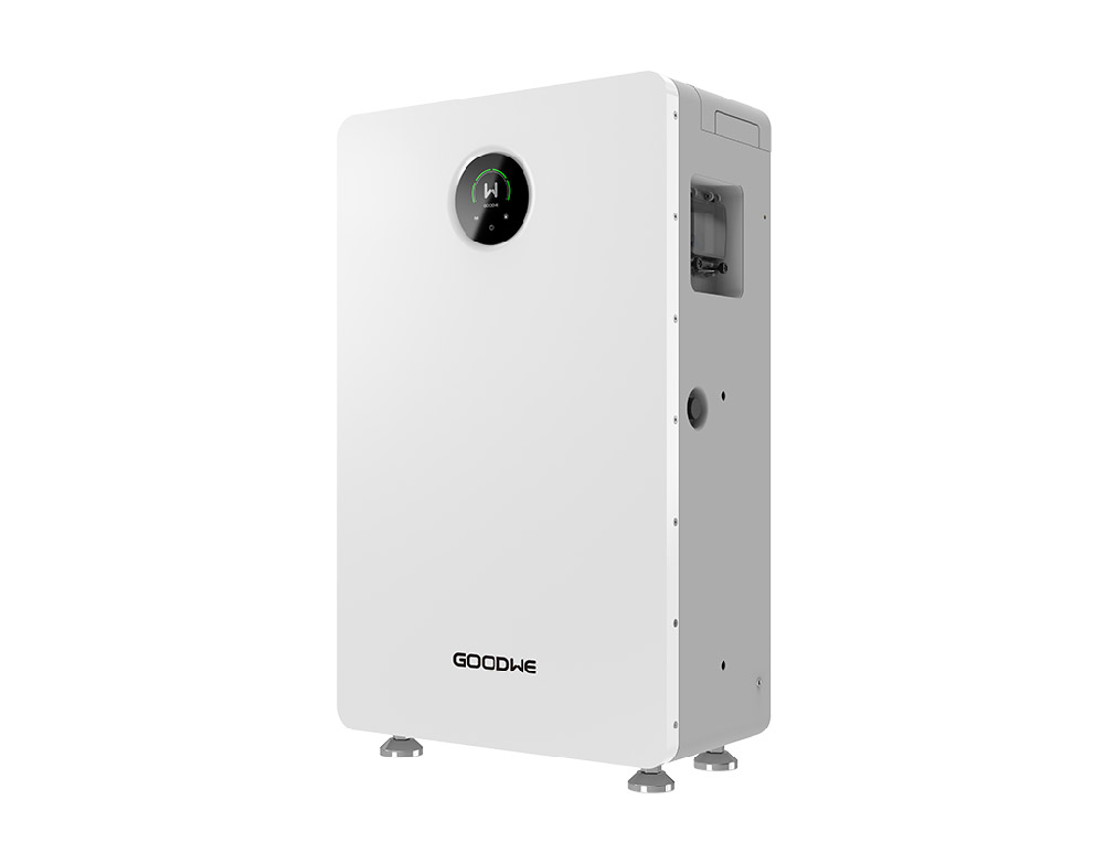 LynxA10-1000-3.jpg